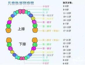 孩子换牙照片,孩子换牙瞬间，记录童年珍贵瞬间