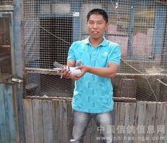 袁海鸥演员,光影交织的演艺人生