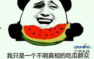 坐等吃瓜是什么意思,揭秘网络热议背后的围观心理