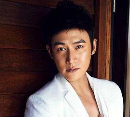 陆毅演明星,从影视新星到实力派演员的华丽蜕变