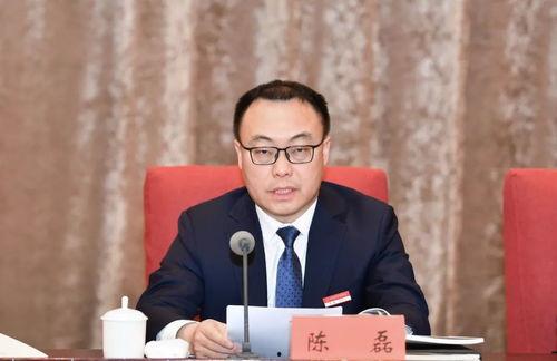 陈磊个人资料,科技领域的创新先锋与行业领军人物