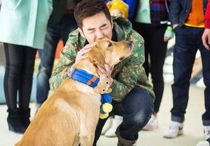 神犬小七第一季演员表图片大全,明星云集，精彩纷呈！