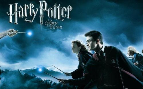 哈利个人资料简介